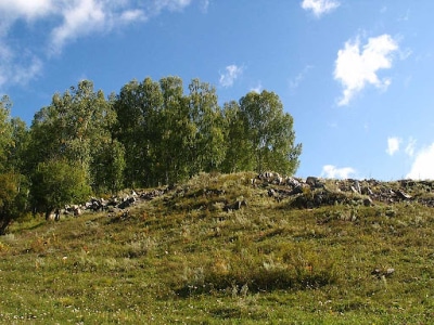 Каменистая степь
