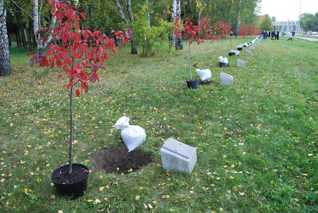 Закладка Аллеи ветеранов, 18 сентября 2014 года Закладка Аллеи ветеранов, 18 сентября 2014 года